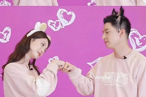 精选图片集锦：视觉盛宴一览