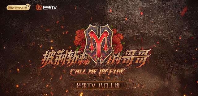 《披荆斩棘的哥哥》海报