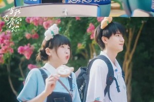 猫的树导演作品推荐：青春治愈系甜剧天花板
