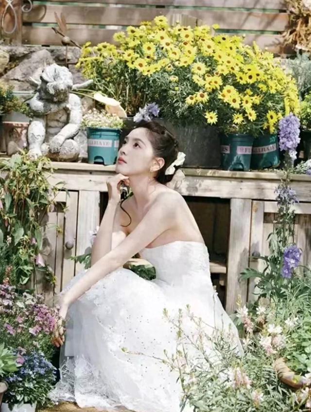 精美图片1