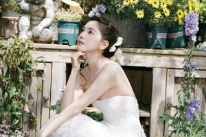 精彩图片集锦：视觉盛宴一览