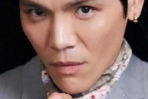 向佐：武术世家出身的演艺新星如何征服荧幕