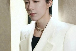 娱乐圈男星闪婚闪离史：刘宇宁魏哲鸣黄景瑜婚变内幕